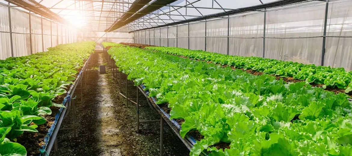 project-04 - Eco-Grazing Solution