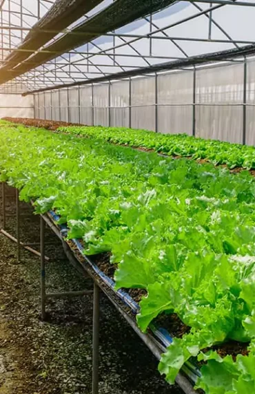 project-04 - Eco-Grazing Solution