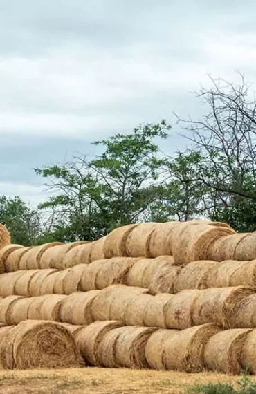 project-06 - Eco-Grazing Solution