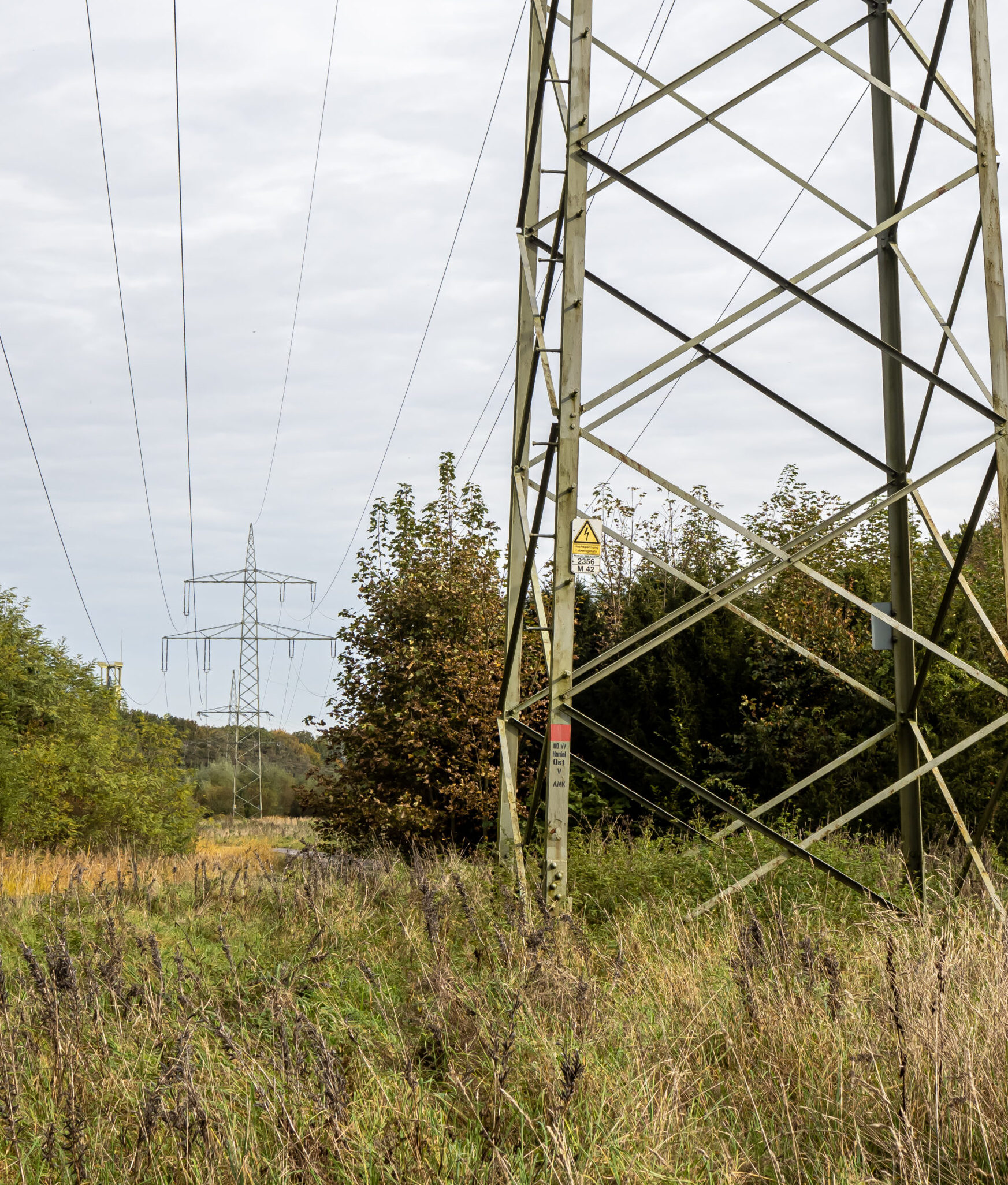 Row of transmission towers in the field - Eco-Grazing Solution
